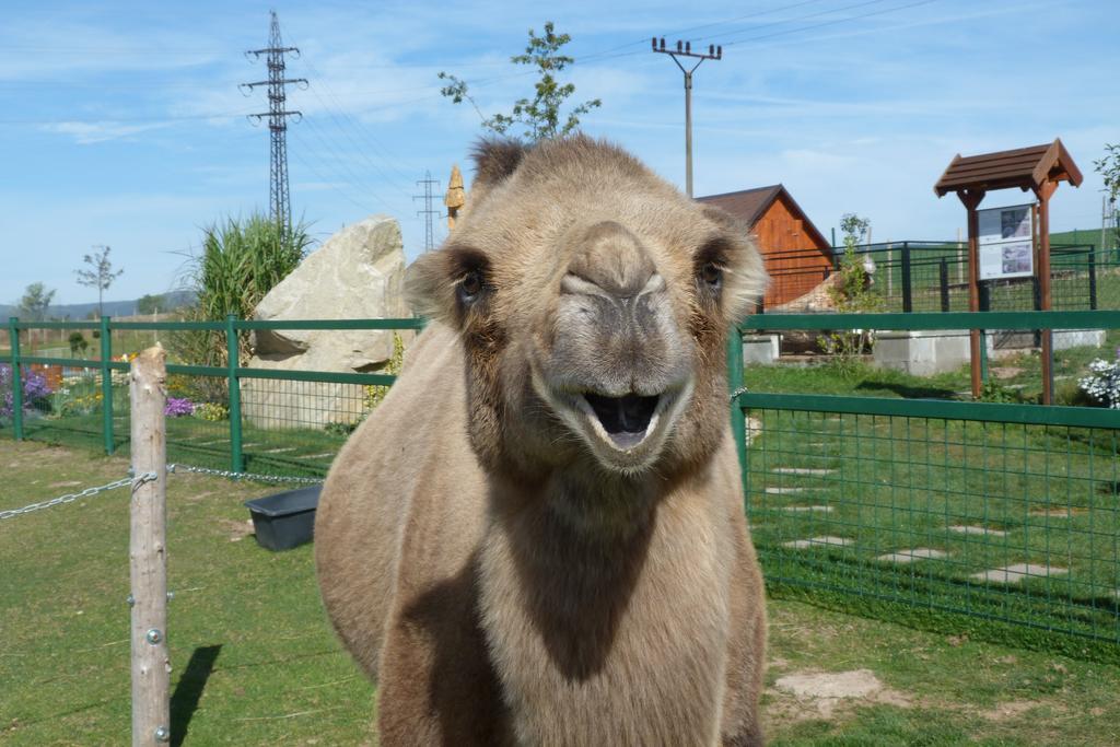 Farma Wenet Villa Broumov Kültér fotó