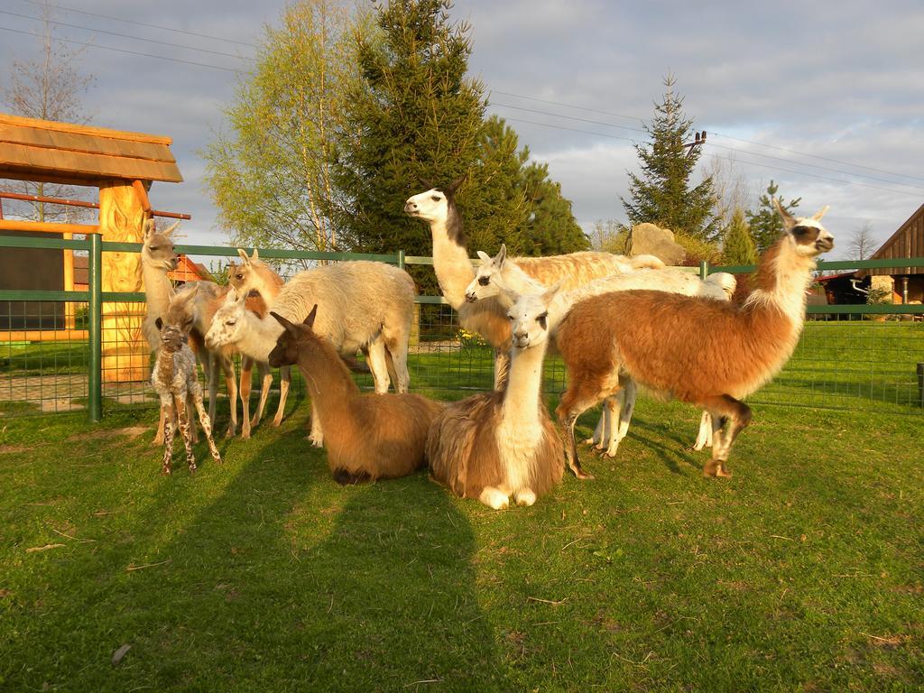 Farma Wenet Villa Broumov Kültér fotó